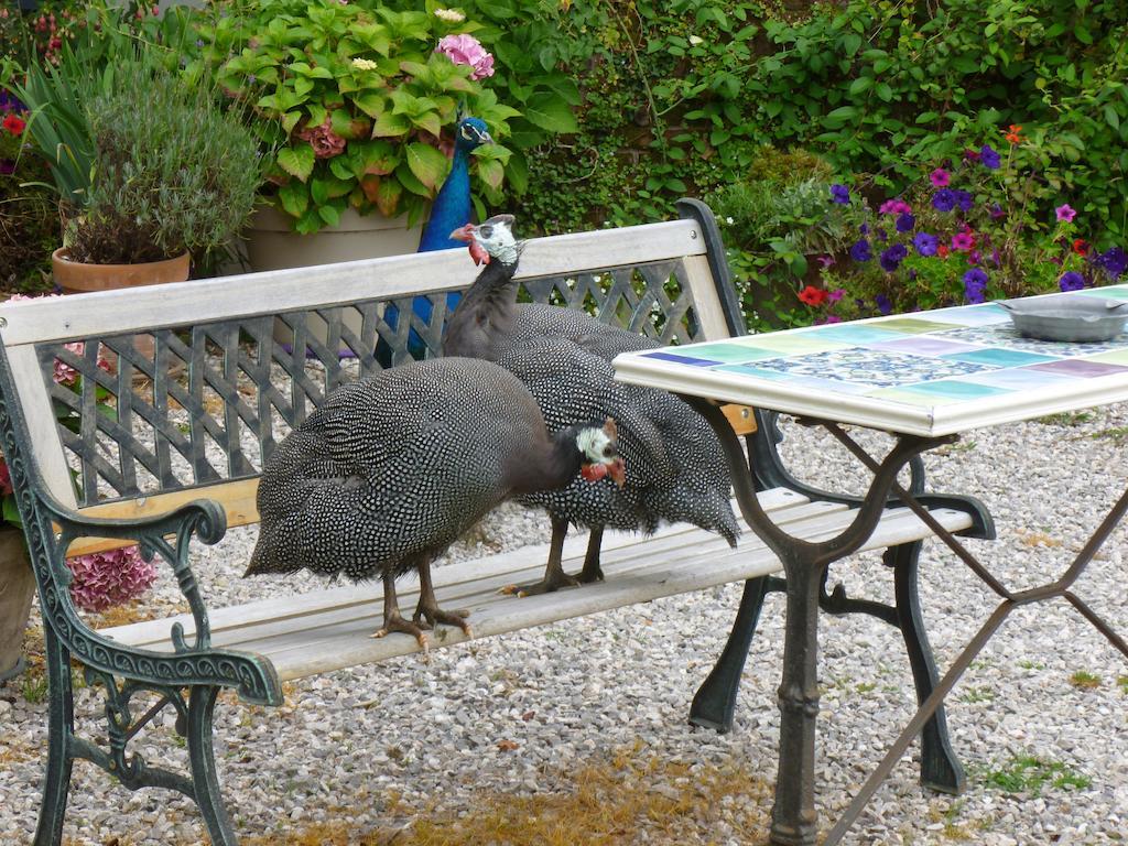 Bed and Breakfast Manoir Francis à Marles-sur-Canche Extérieur photo